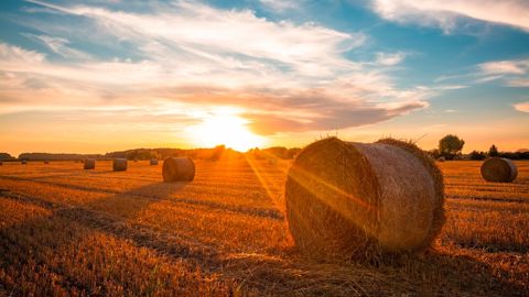 Quelle météo se profile pour les futurs travaux agricoles de l'année ?