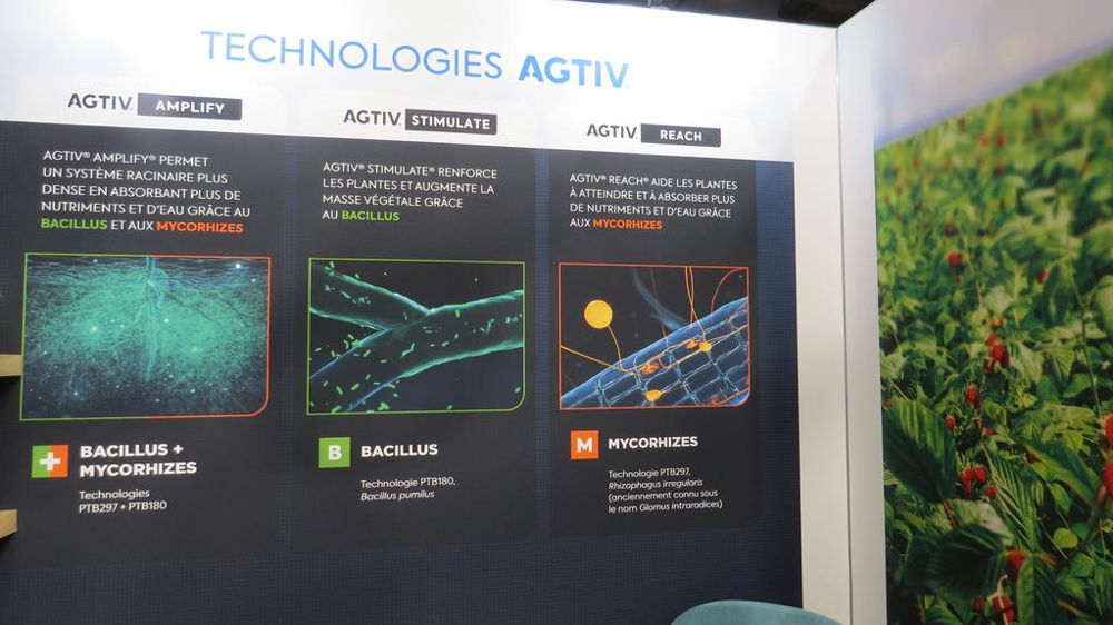 Agtiv