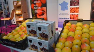 La mise en place d’un atelier de transformation a permis à l’entreprise Comptoir Rhodanien de lancer une nouvelle gamme de jus et nectars de fruits, commercialisée en grande distribution.