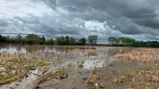 Une cellule de crise a été ouverte par la chambre d'agriculture de la Dordogne pour soutenir les agriculteurs face aux crues et aux inondations dans la région. Une cellule de crise a été ouverte par la chambre d'agriculture de la Dordogne pour soutenir les agriculteurs face aux crues et aux inondations dans la région.