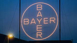 Bayer s’interroge sur l'avenir de la production de son herbicide à base de glyphosate, toujours ciblé par une avalanche de procès. Bayer s’interroge sur l'avenir de la production de son herbicide à base de glyphosate, toujours ciblé par une avalanche de procès.