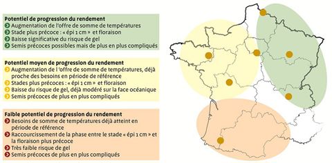 Impact de la hausse des températures sur le rendement des CIVE d’hiver d’une région à l’autre