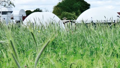 L’adaptation des Cive et des pratiques agricoles sera essentielle pour optimiser leur contribution à la transition énergétique. L’adaptation des Cive et des pratiques agricoles sera essentielle pour optimiser leur contribution à la transition énergétique.