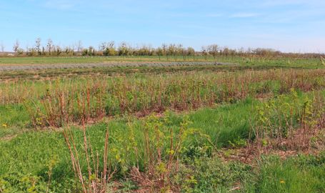 Plateforme d'Aiserey