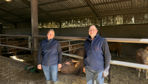 Bruno et Elsa Serieys ont contractualisé pour engraisser 10 mâles issus de leur troupeau salers, des animaux auparavant vendus à l'exportation.