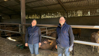 Bruno et Elsa Serieys ont contractualisé pour engraisser 10 mâles issus de leur troupeau salers, des animaux auparavant vendus à l'exportation. Bruno et Elsa Serieys ont contractualisé pour engraisser 10 mâles issus de leur troupeau salers, des animaux auparavant vendus à l'exportation.