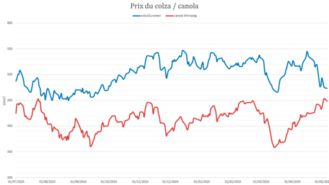 Le colza a rapidement gagné en compétitivité face au canola canadien.
