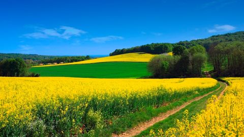 Soleil au nord, pluie au sud : le mois d'avril 2025 était atypique cette année.