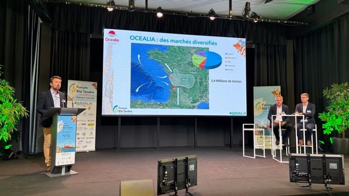 Pierre-Antoine Allard, directeur productions végétales chez Océalia, Jean Simon, directeur d'Atlantique céréales, et Benjamin Bichon, codirecteur de la coopérative La Tricherie, mercredi 7 mai, lors du colloque Forum blé tendre Océan Centre-Ouest.