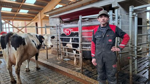 « Avec le robot, il est nécessaire d’être encore plus vigilant qu’avant pour repérer les vaches à problème, pointe Dominique Courtois. . Aujourd’hui, il surveille l’écran quatre ou cinq fois par jour et intervient rapidement en cas d’alerte.