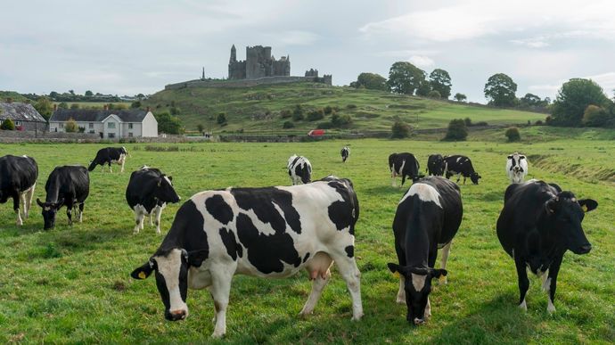Seule l'Irlande n'a pas de problème de renouvellement des générations d'éleveurs, pour le moment.
