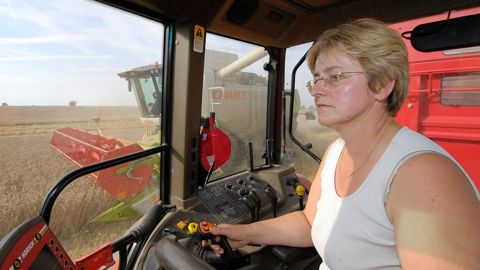 Seules les personnes ayant été liées par un régime matrimonial séparatiste peuvent prétendre à un salaire différé.