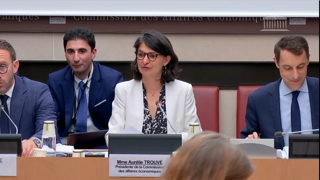 La commission des affaires économiques, présidée par la députée Aurélie Trouvé (LFI), se penche sur la proposition de loi visant à lever les contraintes à l'exercice du métier d'agriculteur. La commission des affaires économiques, présidée par la députée Aurélie Trouvé (LFI), se penche sur la proposition de loi visant à lever les contraintes à l'exercice du métier d'agriculteur.