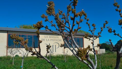 À Valensole, une Maison de la pistache a ouvert ses portes l’été dernier. Des boutiques similaires devraient voir le jour à Paris, Aix-en-Provence et Oslo.