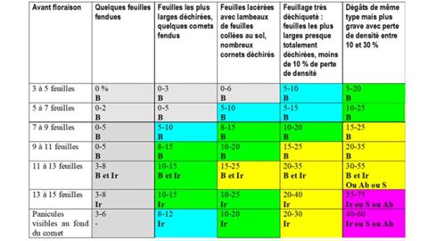 Estimation de l’impact de la grêle (pourcentage de pertes directes)