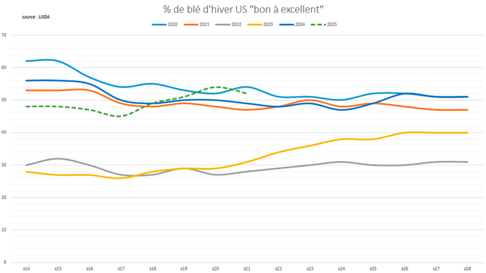 Les notations de blé d'hiver aux États-Unis restent élevées.