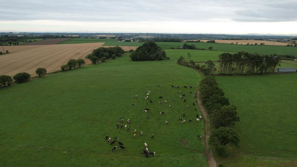 L'augmentation du prix des terres et près libres est plus marquée en zone de polyculture élevage (+ 4,6 %) et en zone d'élevage de bovin (+ 3,3 %).