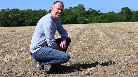 Dans cette parcelle avec une densité importante de ray-grass, Pierre Couillard a semé un maïs au début de mai après un méteil et deux scalpages ainsi qu’un passage de strip-till.