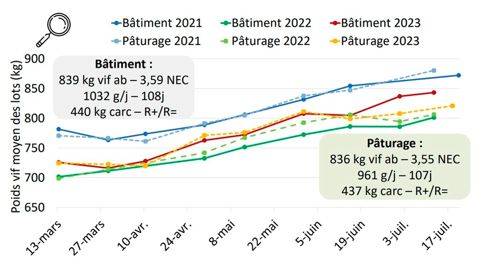 Courbe de croissance des réformes charolaises engraissées à l'herbe
