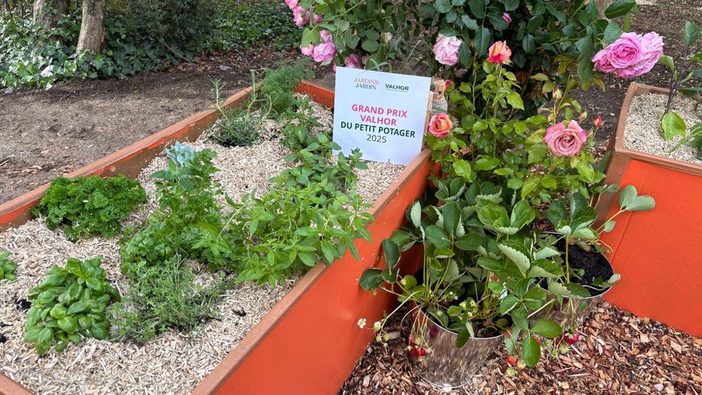 Demet'Air propose des solutions de végétalisation ultralégères, pour les toitures, murs et sols. Demet'Air propose des solutions de végétalisation ultralégères, pour les toitures, murs et sols.