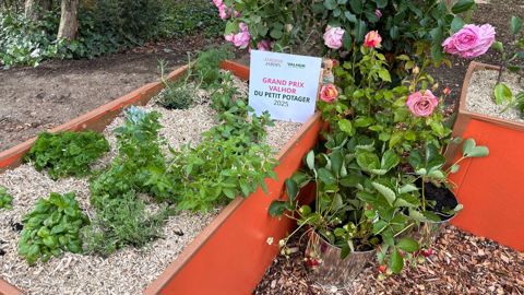 Demet'Air propose des solutions de végétalisation ultralégères, pour les toitures, murs et sols. Demet'Air propose des solutions de végétalisation ultralégères, pour les toitures, murs et sols.