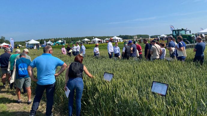 Sur la plateforme agronomique de 30 ha de la ferme pilote du Groupe Carré, les clients agriculteurs ont pu visiter les nombreux essais multicultures : variétés, désherbage, protection fongicide…