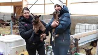 Lucie (à gauche) et Célia Benaud ont créé leur exploitation hors cadre familial, en surmontant une succession de difficultés. Lucie (à gauche) et Célia Benaud ont créé leur exploitation hors cadre familial, en surmontant une succession de difficultés.