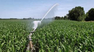 Guilhem Pouxviel, chargé d'études eau-climat à la chambre d'agriculture de Haute-Garonne, rappelle qu'il ne faut pas attendre que la plante soit en situation de stress hydrique pour débuter l'irrigation. Guilhem Pouxviel, chargé d'études eau-climat à la chambre d'agriculture de Haute-Garonne, rappelle qu'il ne faut pas attendre que la plante soit en situation de stress hydrique pour débuter l'irrigation.