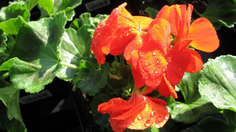 Chacun étant concerné, le site Resili’Eau s’adresse autant aux professionnels qu’aux citoyens.