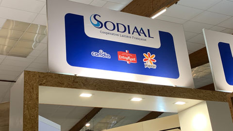 Pour l’année 2024, Sodiaal se félicite d’avoir « maintenu un prix du lait attractif » en période « de tension économique », à 492 €/1 000 litres.