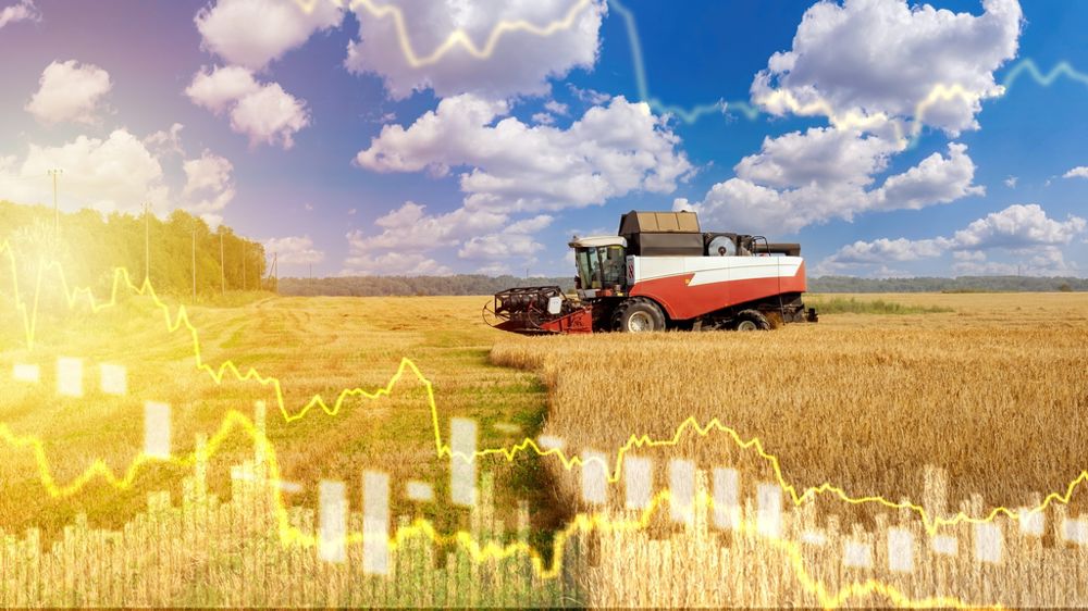Moisson du blé et graphes représentant des cours de céréales