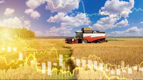 L’AMIS vise à améliorer la transparence des marchés agricoles et la coordination politique pour, notamment, réduire les phénomènes de volatilité.