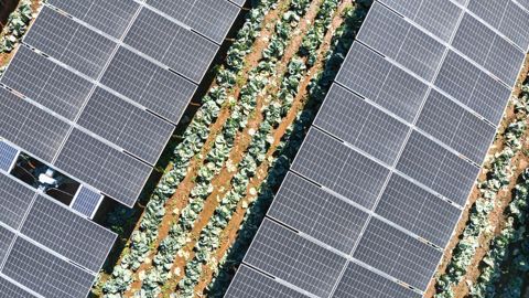 Agriculture et photovoltaïque, un combo gagnant ? Agriculture et photovoltaïque, un combo gagnant ?
