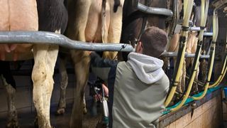 La rémunération doit correspondre au profil du poste. La rémunération doit correspondre au profil du poste.