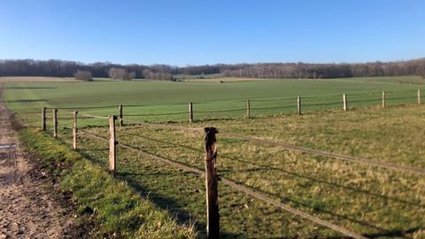 Cette version de compromis sur la proposition de loi Duplomb, visant à « lever les contraintes à l'exercice du métier d'agriculteur », est un « signal fort » adressé aux exploitants agricoles selon Annie Genevard et la FNSEA.
