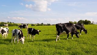 La pousse de l'herbe est désormais déficitaire sur la France. La pousse de l'herbe est désormais déficitaire sur la France.
