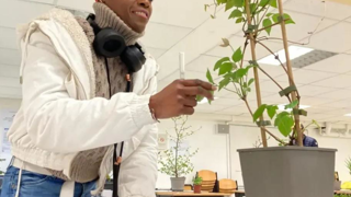 La reconnaissance des végétaux concerne aussi les professionnels. Cette année, le concours national se déroulera pour la première fois en octobre, au parc Terra Botanica, à Angers. La reconnaissance des végétaux concerne aussi les professionnels. Cette année, le concours national se déroulera pour la première fois en octobre, au parc Terra Botanica, à Angers.
