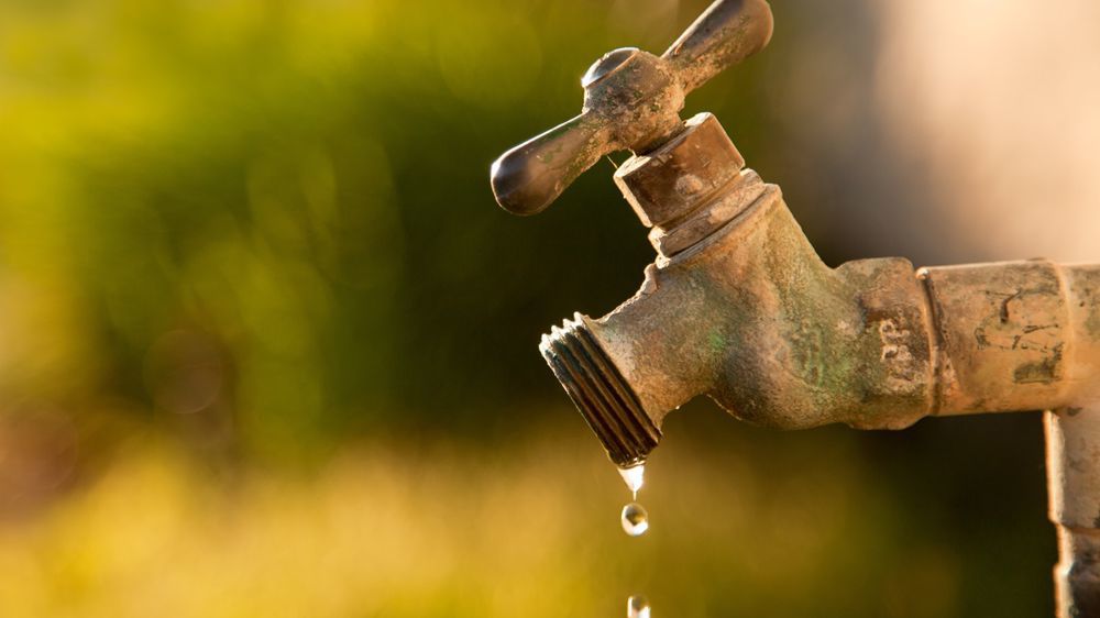 Dans la moitié nord en déficit de pluies depuis plusieurs mois ou le Languedoc où la sécheresse sévit depuis trois ans, « la situation « se dégrade plus rapidement que d'autres années ».