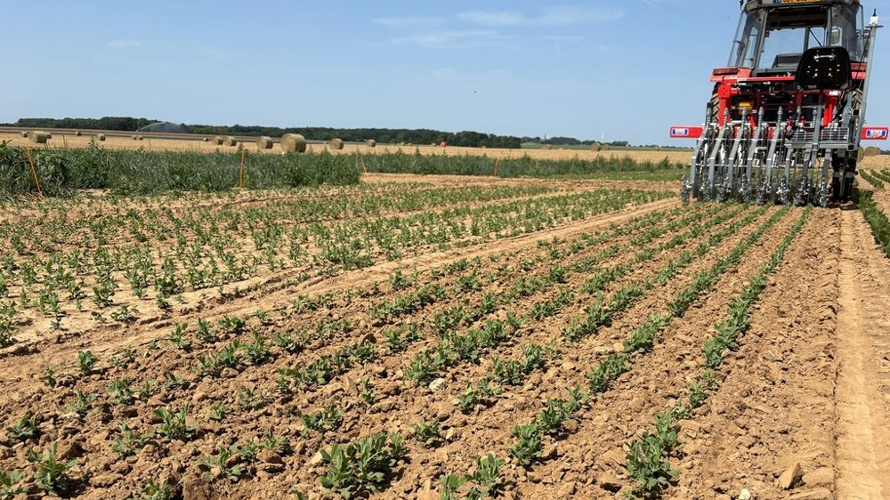 Bineuse équipée de moulinets Tilt Rotovert