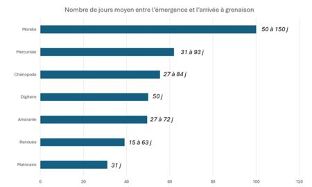 Nombre de jours nécessaire aux adventices pour monter à graines en cultures légumières de plein champ Nombre de jours nécessaire aux adventices pour monter à graines en cultures légumières de plein champ