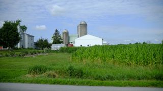 Les États-Unis veulent interdire aux investisseurs chinois d’acquérir des terres agricoles américaines.