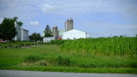 Les États-Unis veulent interdire aux investisseurs chinois d’acquérir des terres agricoles américaines.