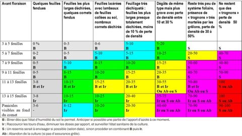 Tableau 1 : Estimation de l’impact de la grêle AVANT la floraison du maïs (en % de pertes directes)