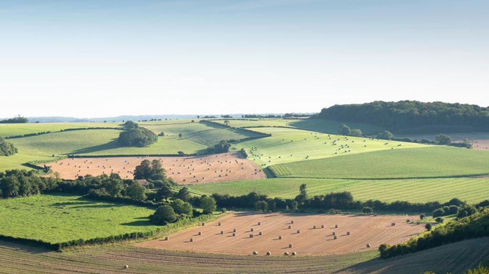 Vers des aides au revenu plus ciblées à la place des aides à l'hectare ?