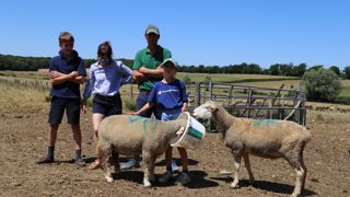 Chaque matin, Chalène et Mathieu Moreau, ici avec leurs enfants Capucine et Eliot, se demandent si le loup n'a pas attaqué leur troupeau au pâturage.
