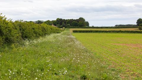 A Strasbourg, des agriculteurs rémunérés pour leurs services environnementaux