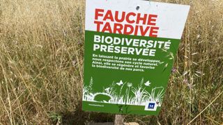 La fauche tardive constitue un outil de gestion favorable à la biodiversité. Pour être acceptée, elle doit s’accompagner d’une communication claire, afin d’éviter les malentendus auprès du public. La fauche tardive constitue un outil de gestion favorable à la biodiversité. Pour être acceptée, elle doit s’accompagner d’une communication claire, afin d’éviter les malentendus auprès du public.