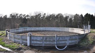En élevages bovins, 20 % des émissions
d’ammoniac sont imputables au
stockage des effluents. En élevages bovins, 20 % des émissions
d’ammoniac sont imputables au
stockage des effluents.