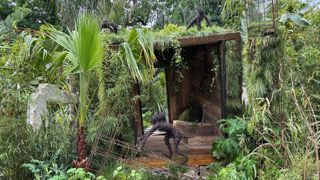 « Jungle urbaine », du Maître jardinier Sylvère Fournier, a reçu le prix de la Création paysagère Unep & Jardins, jardin. « Jungle urbaine », du Maître jardinier Sylvère Fournier, a reçu le prix de la Création paysagère Unep & Jardins, jardin.