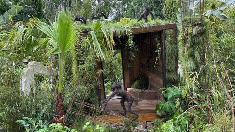 « Jungle urbaine », du Maître jardinier Sylvère Fournier, a reçu le prix de la Création paysagère Unep & Jardins, jardin.